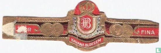 HB Havana Bloesem - Flor - Fina - Afbeelding 1