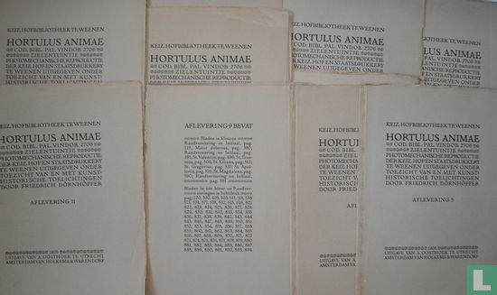 Hortulus Animae / Zielentuintje - Image 2