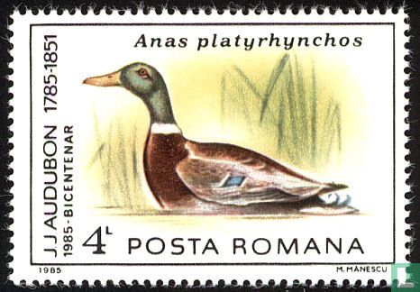 Oiseaux