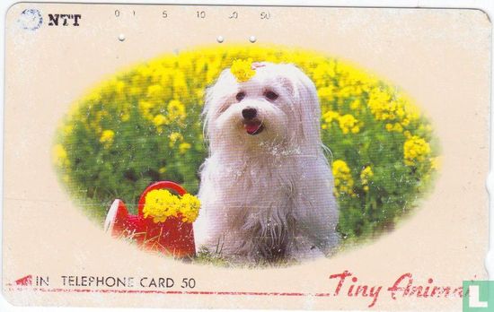"Tiny Animal" - Puppy and Flowers