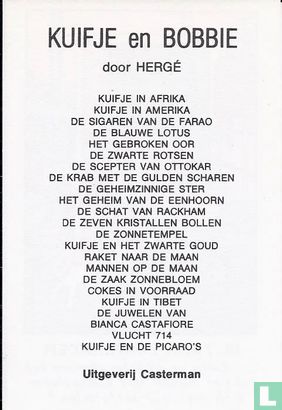 Het gebroken oor - Afbeelding 2