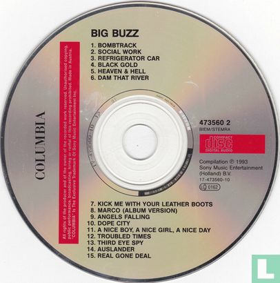 The Big Buzz - Bild 3