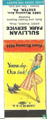 Pin up 50 ies young dog - old trick - Afbeelding 1