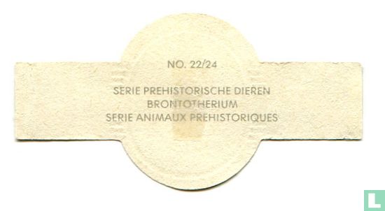 Brontotherium  - Afbeelding 2