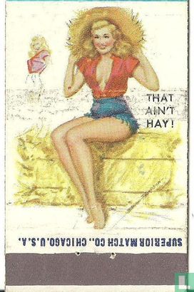 Pin up 50 ies that ain't hay ! - Afbeelding 2