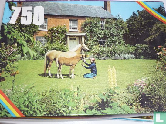 Paarden