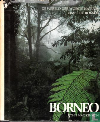Borneo - Bild 1
