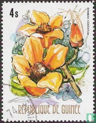 Fleurs de Guinée
