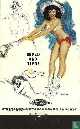 Pin up roped and tied 1b - Afbeelding 2