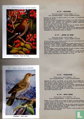 De vogels van België Deel II - Les Oiseaux de Belgique Tome II - Image 3