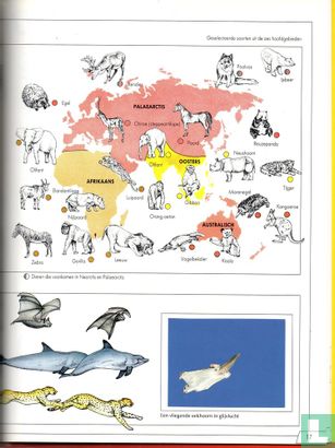 Vogels en zoogdieren - Image 3