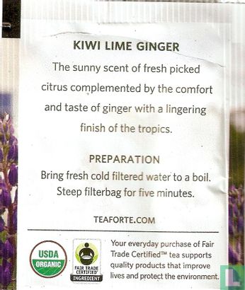 Kiwi Lime ginger - Afbeelding 2