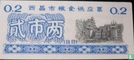 China Sichuan 1981 100 gram - Afbeelding 1