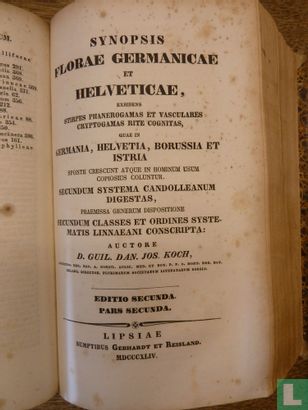 Synopis florae Germanicae et Helveticae (...) - Bild 2
