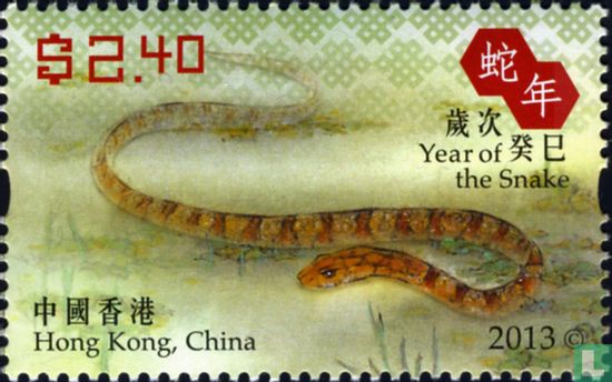 Year of the snake