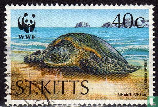 WWF-grüne Schildkröte