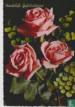 Hartelijk Gefeliciteerd - Drie roze rozen - Bild 1