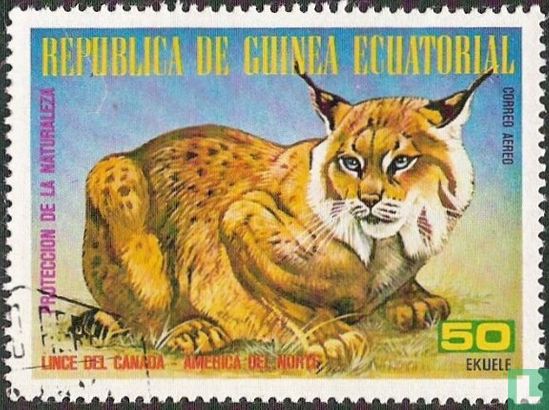 Animaux nord-américains