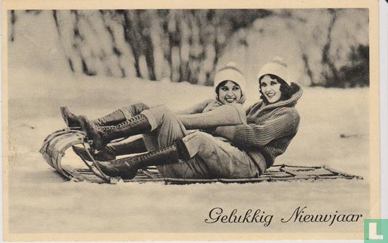 Gelukkig Nieuwjaar. Twee dames op een slede. - Image 1