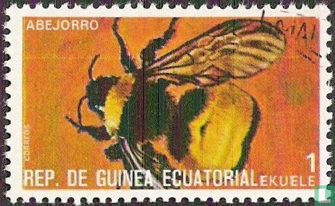 Insectes
