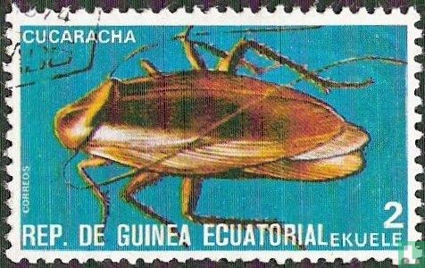 Insectes