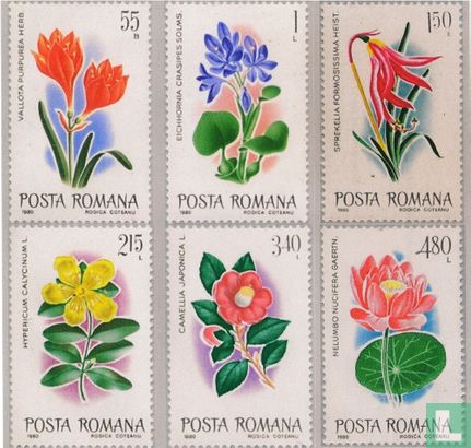 Fleurs exotiques