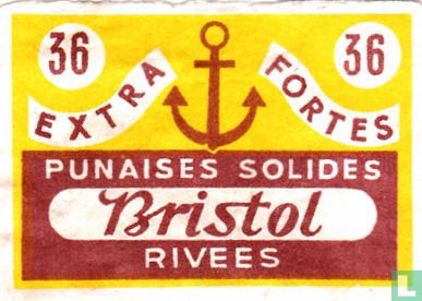 Bristol 36 punaises solides rivees