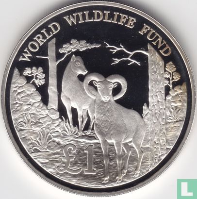 Cyprus 1 pound 1986 (PROOF) "25th anniversary World Wildlife Fund" - Image 2