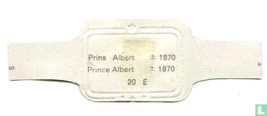 Prins Albert    ± 1870 - Afbeelding 2