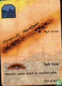 Salt Veiw