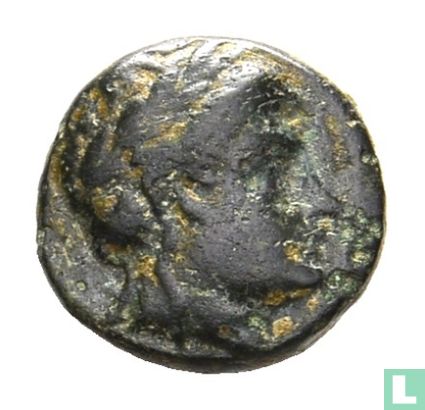 Seleucid Empire  AE12  (Antiochos II Theos)  261-246 BCE - Image 1