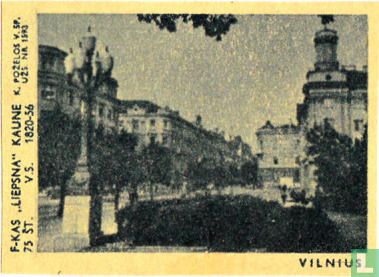 Stadsgezicht Vilnius