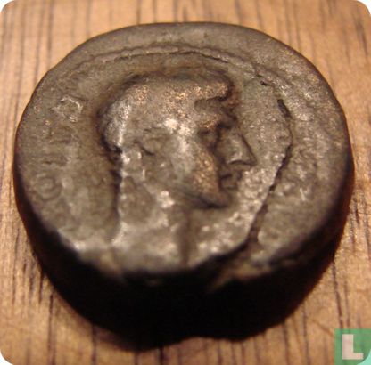 Empire romain, AE17, 20 BC - AD 4, Caius César, Laodicée - Image 1