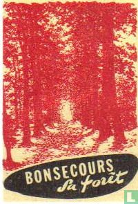 Bonsecours Sa forêt