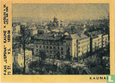 Stadsgezicht Kaunas