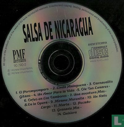 Salsa de Nicaragua - Image 3