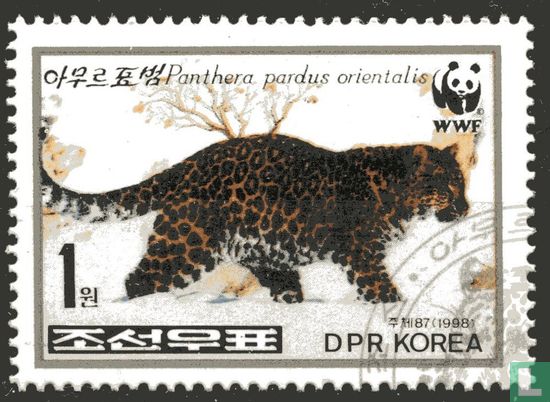 WWF-Amur Leopard