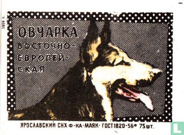 OBYAPKA - "Oost-Europese herdershond"