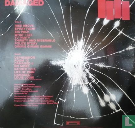 Damaged  - Image 2