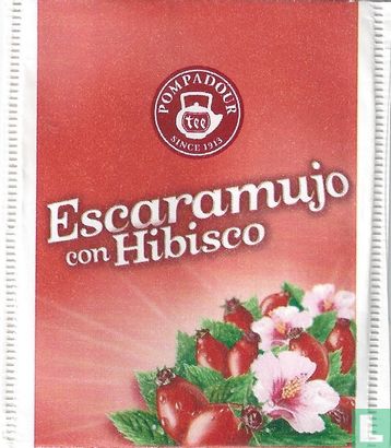 Escaramujo con Hibiscus    - Afbeelding 1