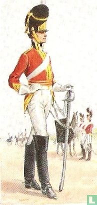 2nd(Royal North British)Dragoons (Scots Greys) (1813)