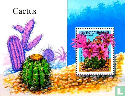 Bloem cactus 