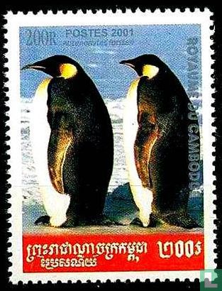 Pinguïns 