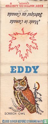 Eddy - Screech owl