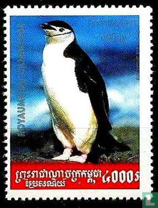 Pinguïns