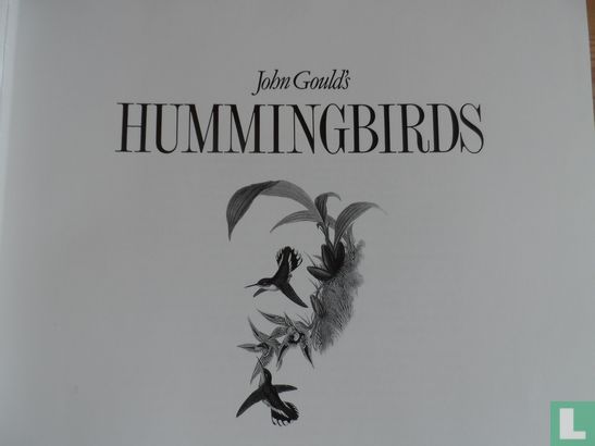 Hummingbirds - Afbeelding 3
