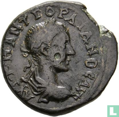 Gordien III, 238-244, AE Tetrassarion Mésie inférieure Dionysopolis - Image 2