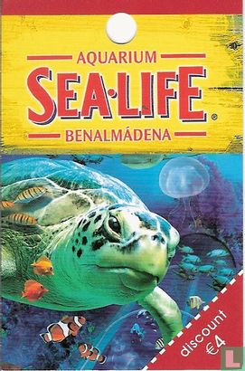Aquarium  Sea Life - Image 1