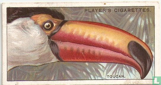 The Toucan. - Image 1
