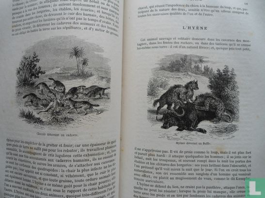 Histoire naturelle extraite de Buffon et de Lacépéde - Bild 3